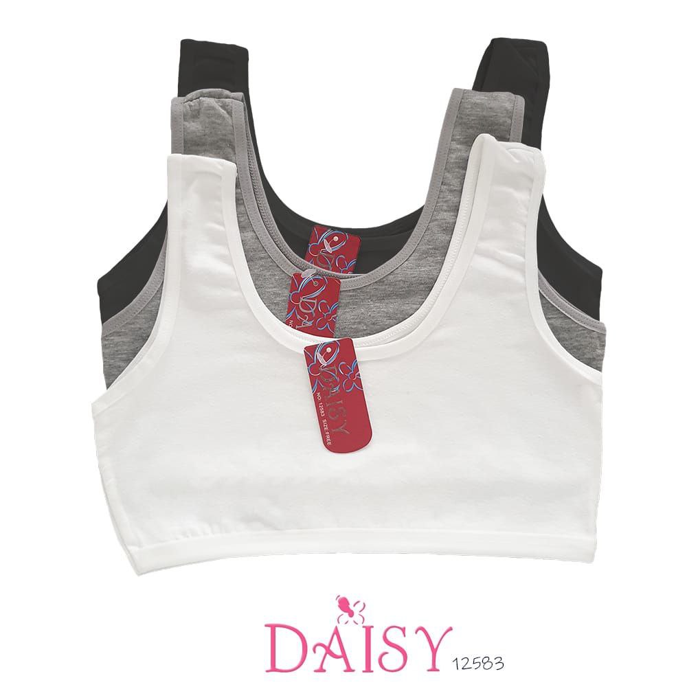 MINISET DAISY 12583