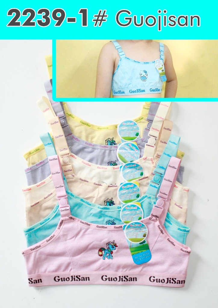 MINISET GUOJISAN/XUELAIQI 2239 CEKLIK