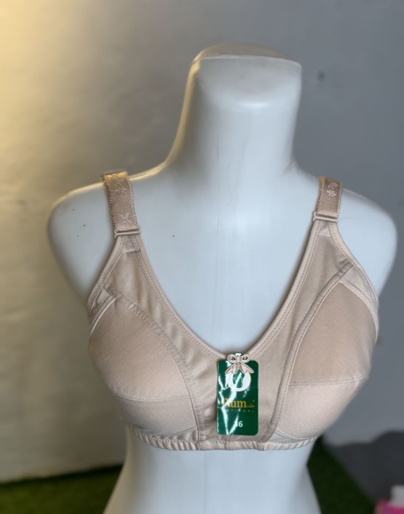 BH PLUMULA 502 CKLT 38