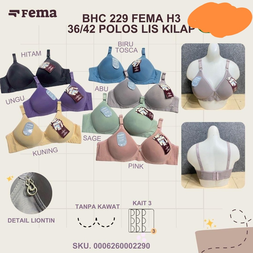 BH FEMA 229 H3
