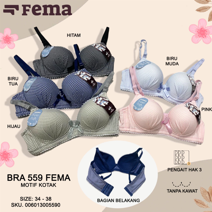 BH FEMA 559