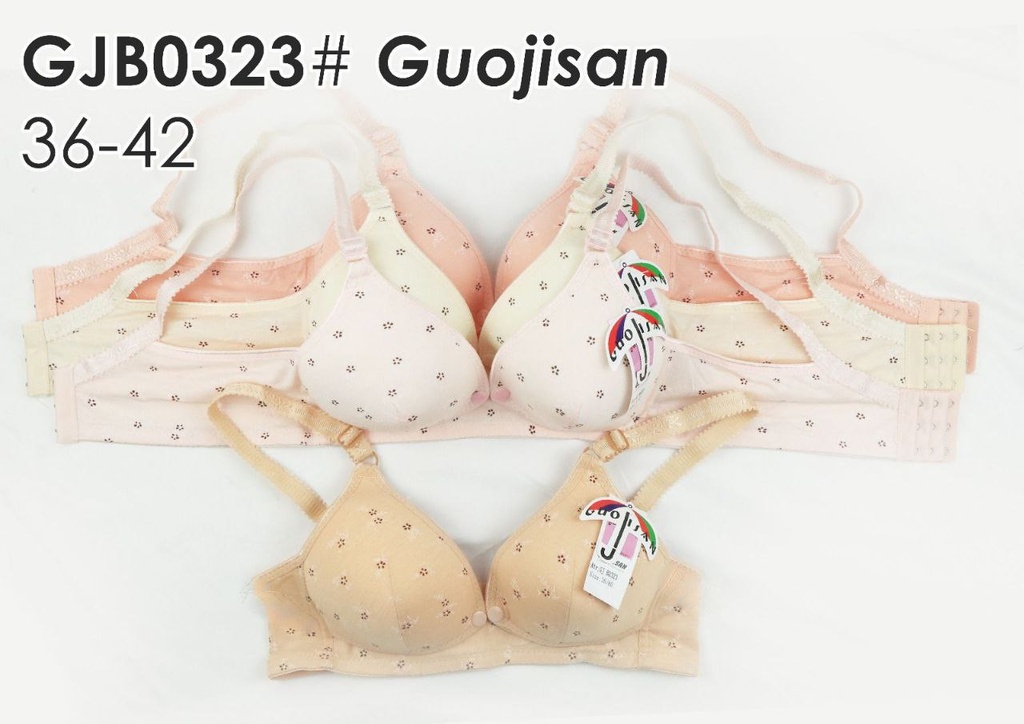 BH GUOJISAN GJB0323