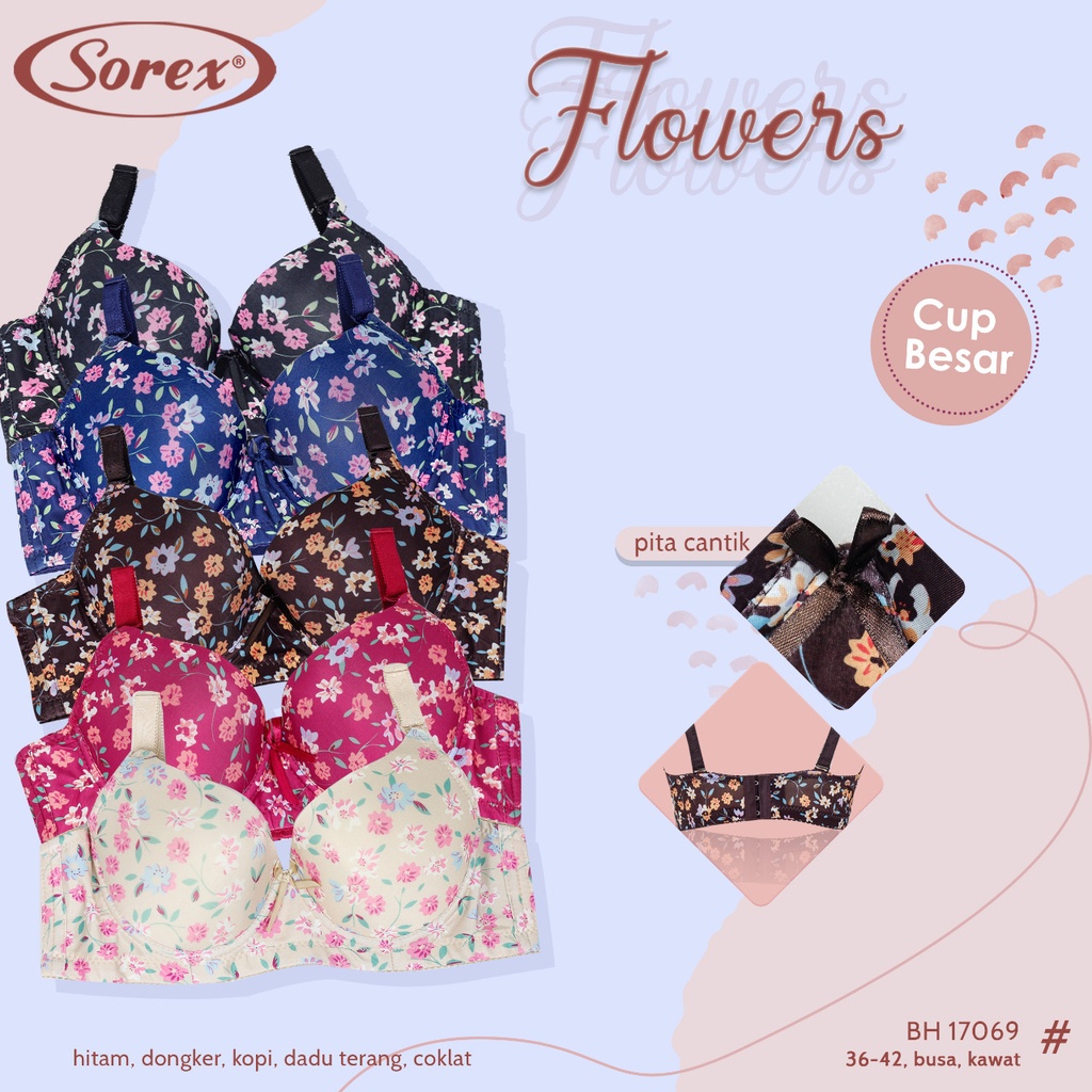 BH SOREX 17069