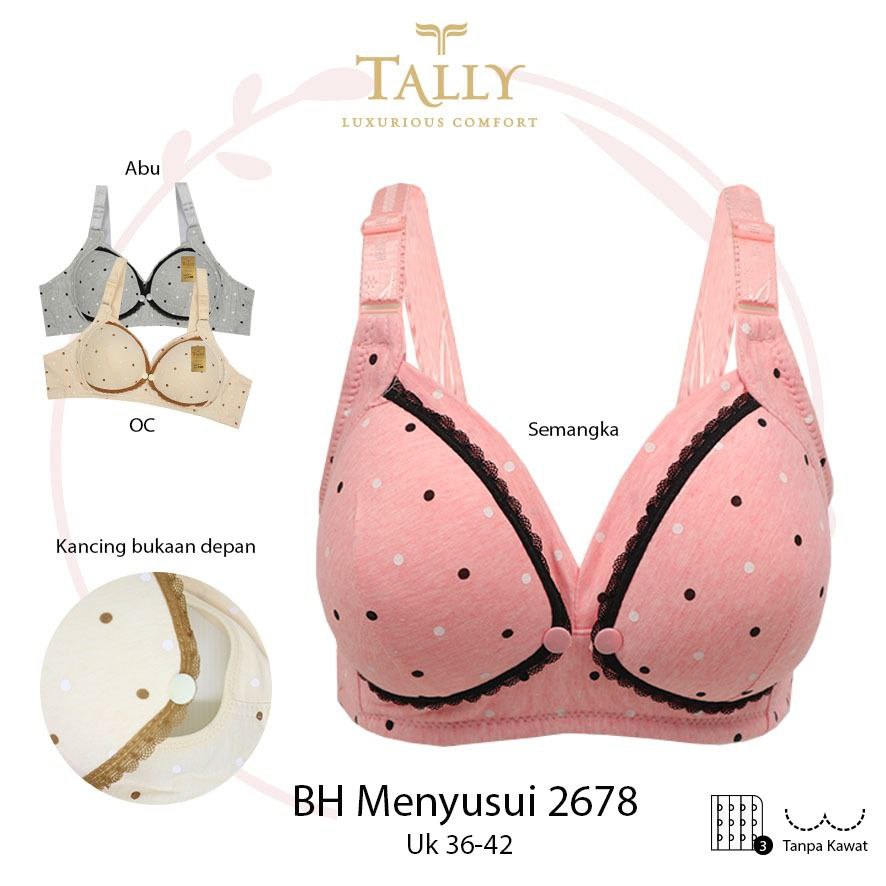 BH TALLY 678/2678 MENYUSUI