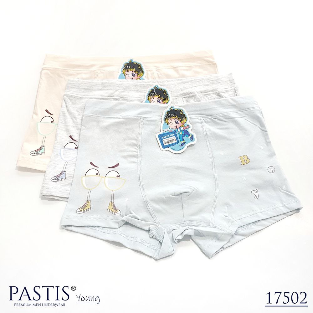 CDA PASTIS 17502