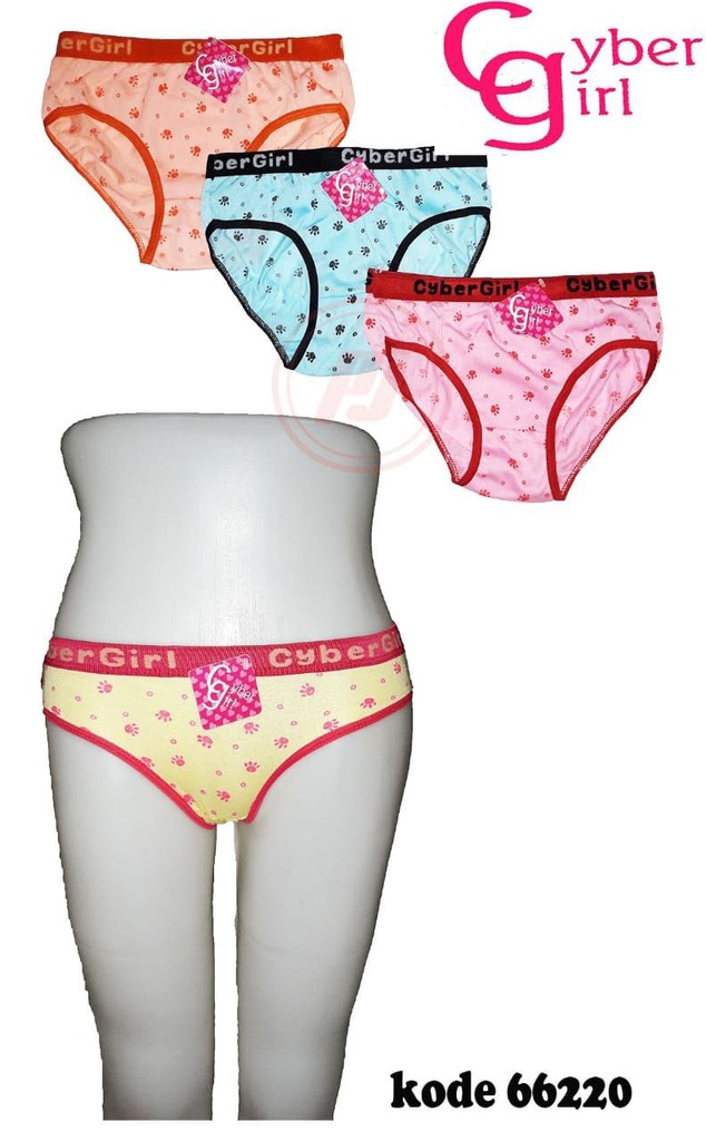 CDW CABERNET SALUR CG