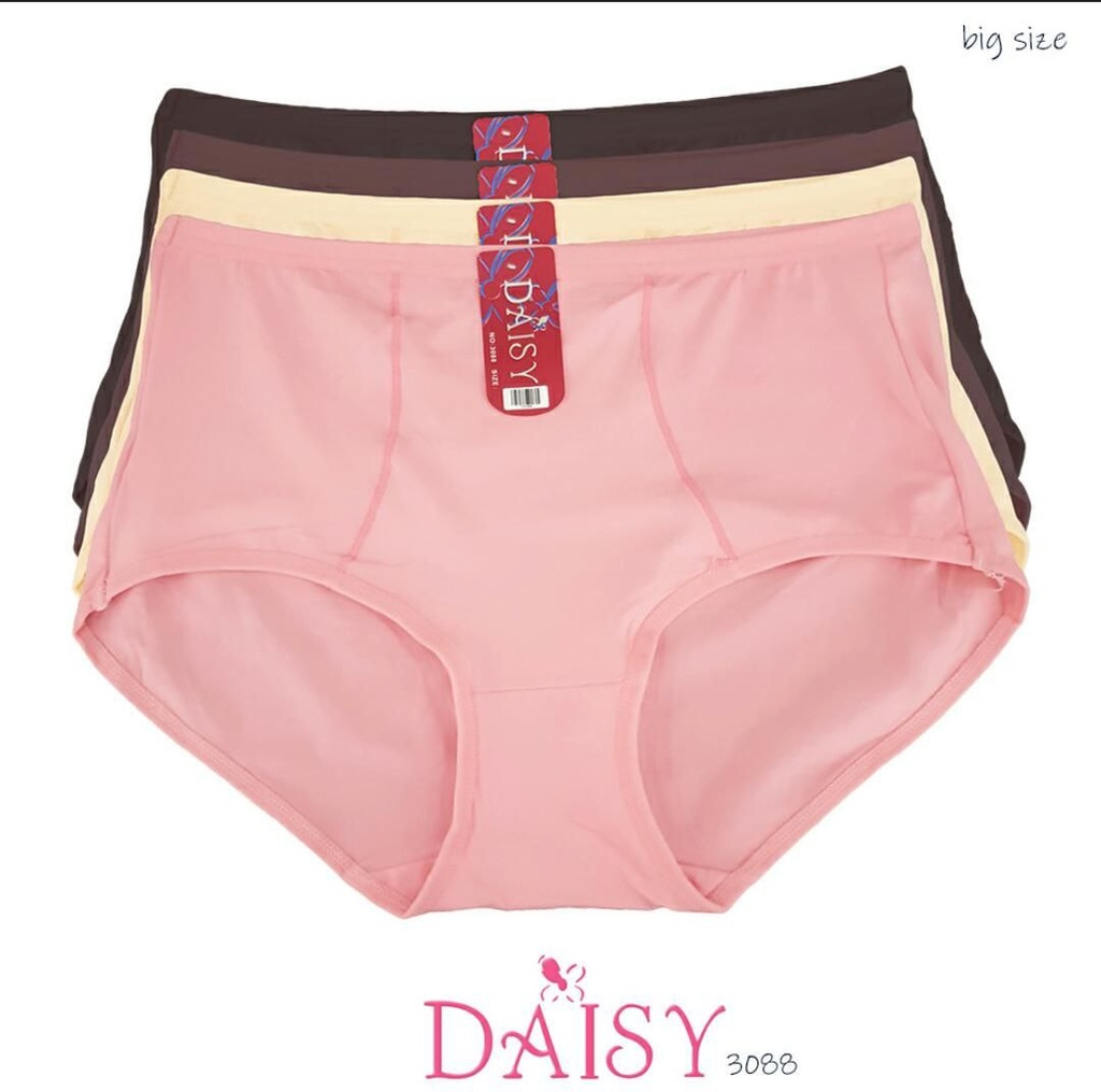 CDW DAISY 3088