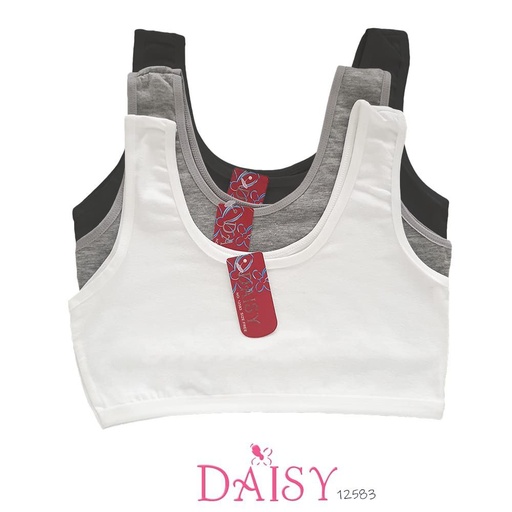 [12583] MINISET DAISY 12583