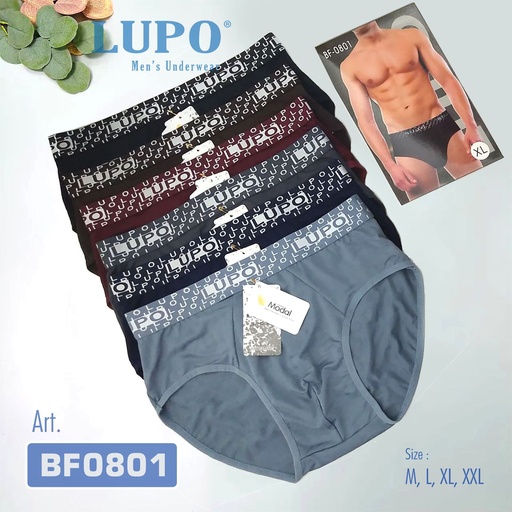 [0801M] SEMPAK LUPO 0801 M SG3