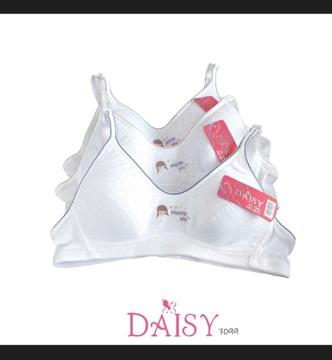 [7099] BH DAISY 7099
