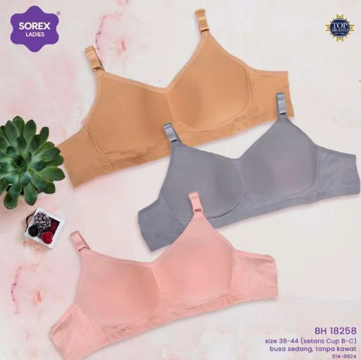 [18258] BH SOREX 18258