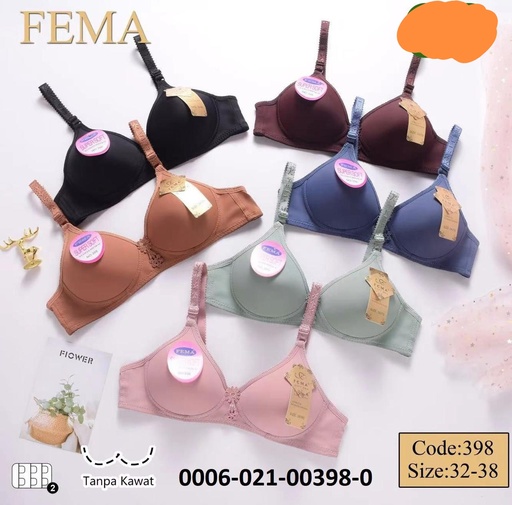[398FM] BH FEMA 398 H2