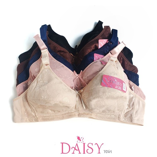 [7061] BH DAISY 7061