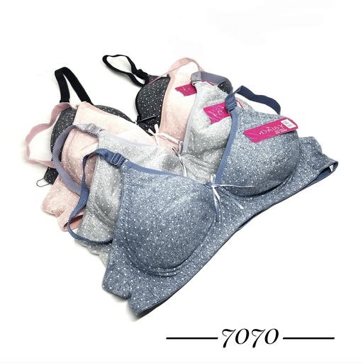 [7070] BH DAISY 7070