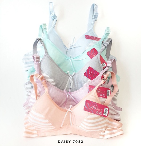 [7082] BH DAISY 7082
