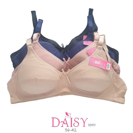 [7097] BH DAISY 7097