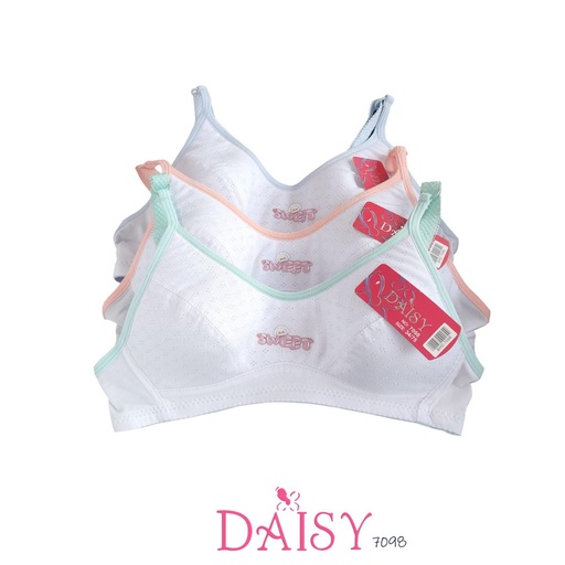 [7098] BH DAISY 7098