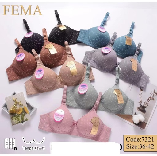 [7321] BH FEMA 7321