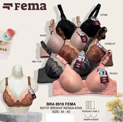 [8918FM] BH FEMA 8918