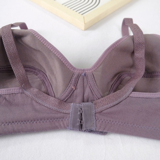 [BHFD38] BH FIDILA/NUGROS 38