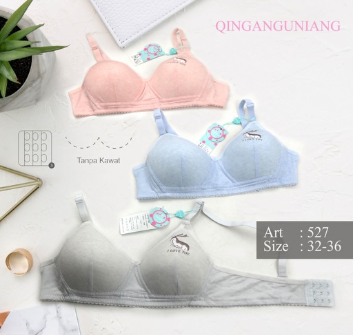 [527QG] BH QINGANGUNIANG 527
