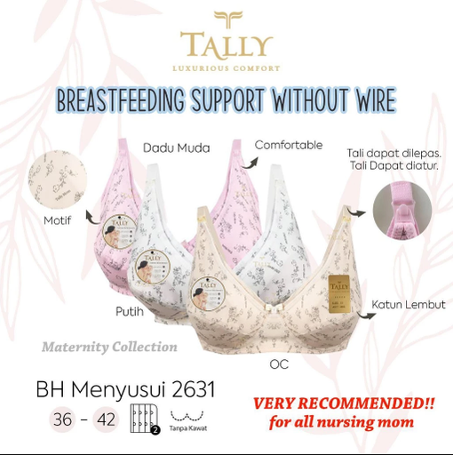 [2631] BH TALLY 2631 NETEK