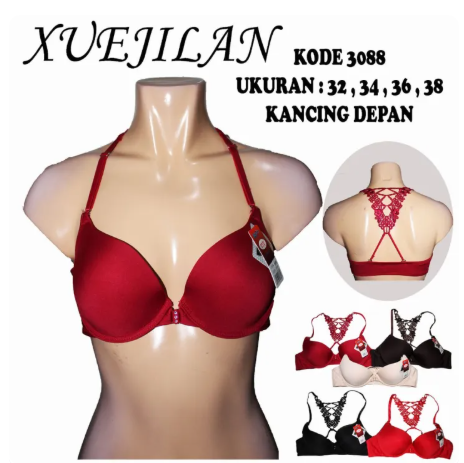 [3088] BH XUEJILAN 3088