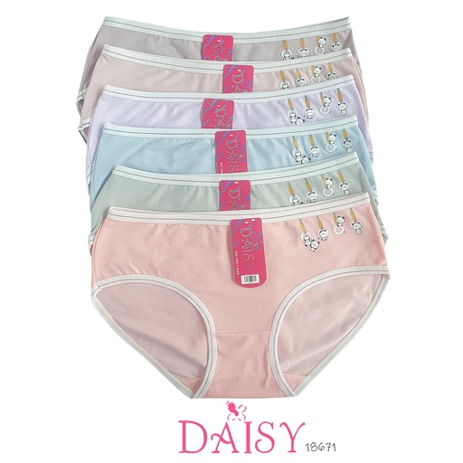 [18671] CDW DAISY 18671