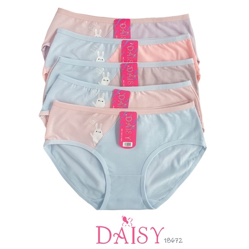 [18672] CDW DAISY 18672