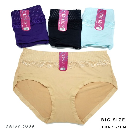 [3089DS] CDW DAISY 3089