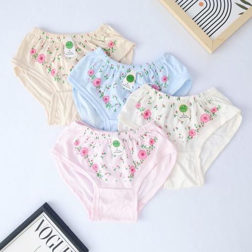 [CDHXL] CDW HEKIT IVON XL