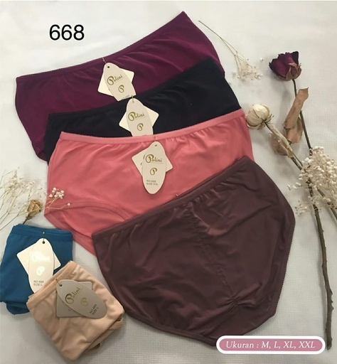 [668PLM] CDW POLINI 668 M